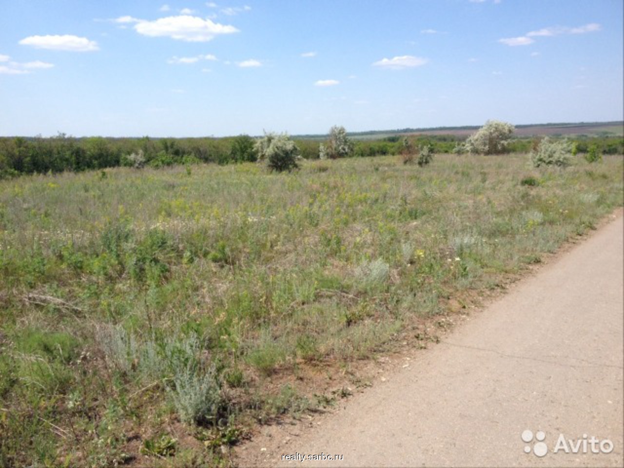 село курдюм татищевский район саратовская. село курдюм саратов. село курдюм татищевский район. село курдюм саратов. село курдюм татищевский район саратовская.