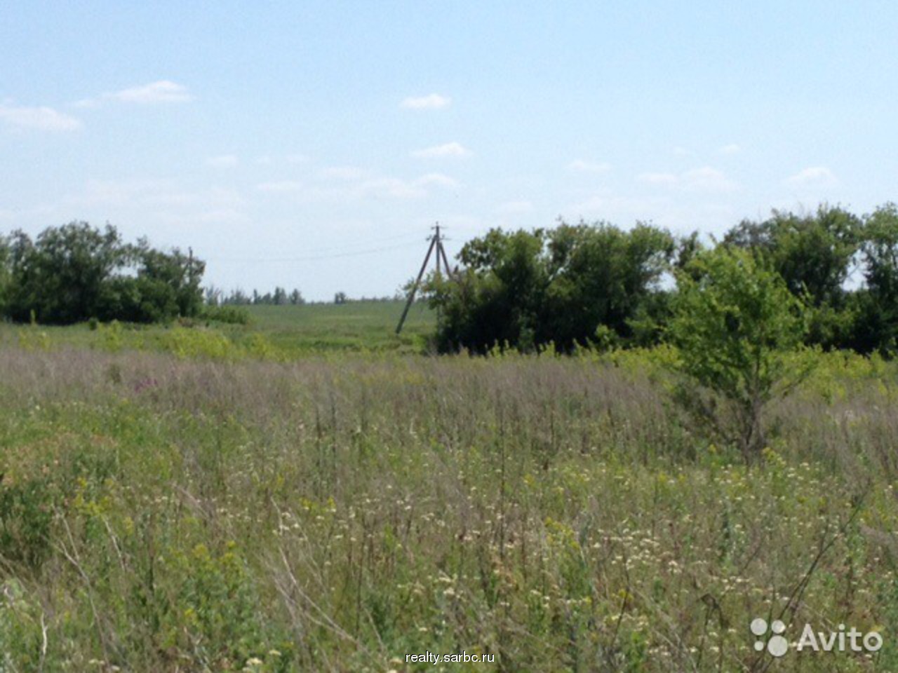 Участок саратовская. Курдюм Саратовская область. Рыбалка в с. Курдюм, Татищевский район.